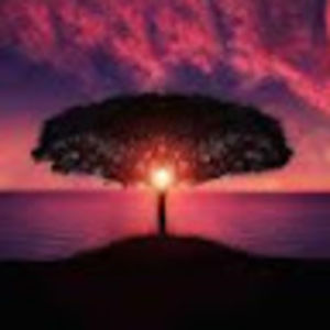 Meet your Posher, Maggie